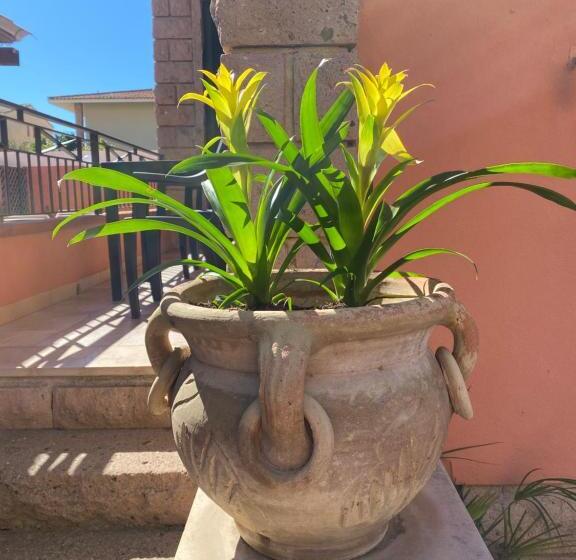تختخواب و صبحانه Villa Marogna