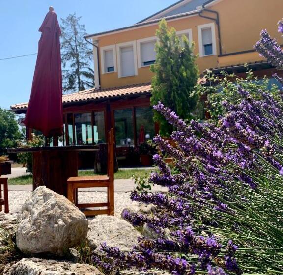 ホテル Albergo Ristorante Monte Selva