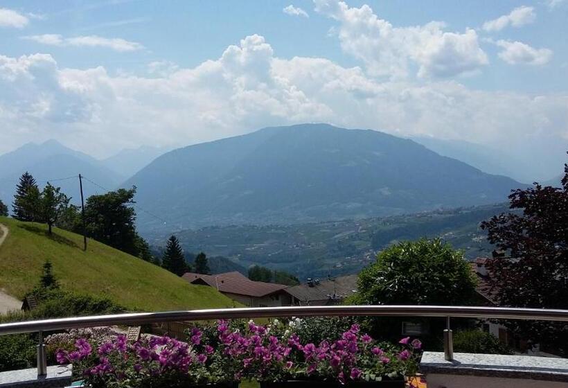 هتل Garni Alpenhof
