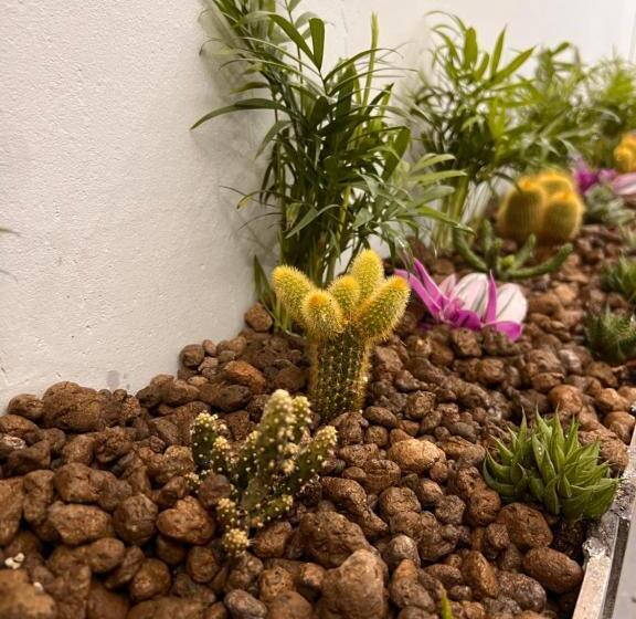 تختخواب و صبحانه Le Temple Du Luxe