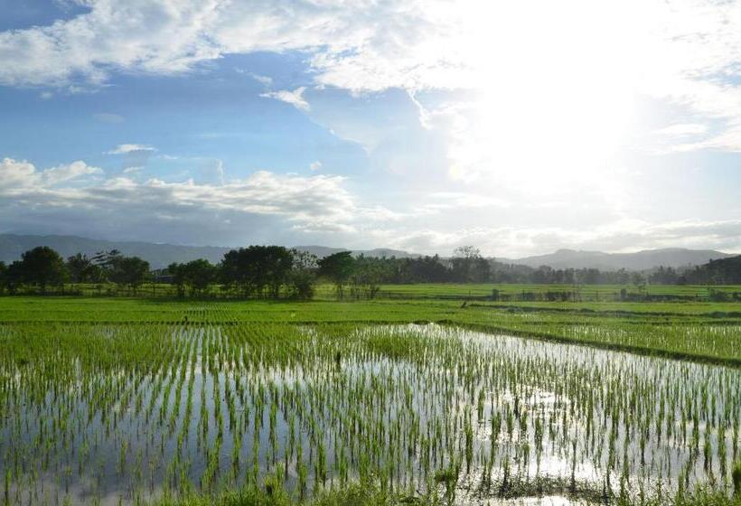 Отель Paglinawan Organic Eco Farm