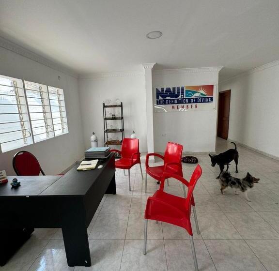 پانسیون Calipso Dive And Pet Center