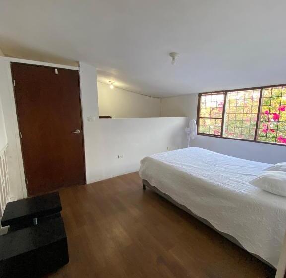 پانسیون Vegan