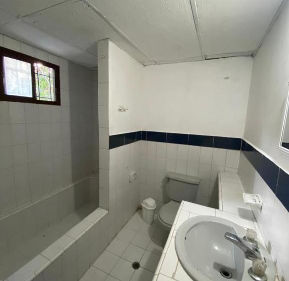 پانسیون Vegan