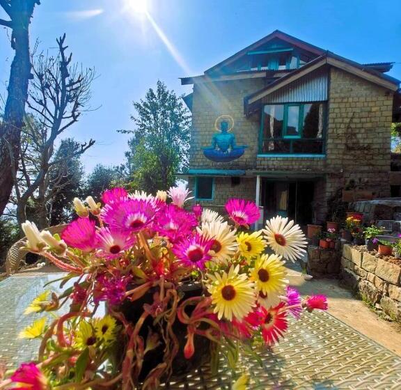 Vibe Hostel