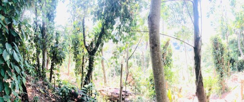 مبيت وإفطار Bambo Cabana