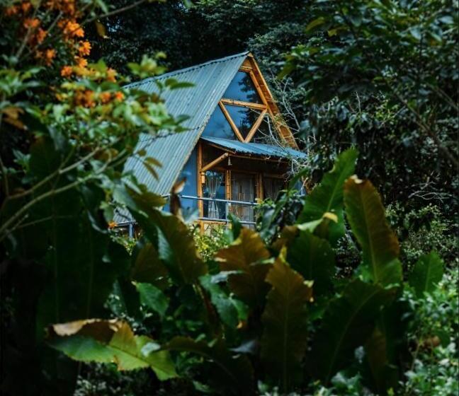 בית מלון כפרי Boscaje Solarpunk Habitat