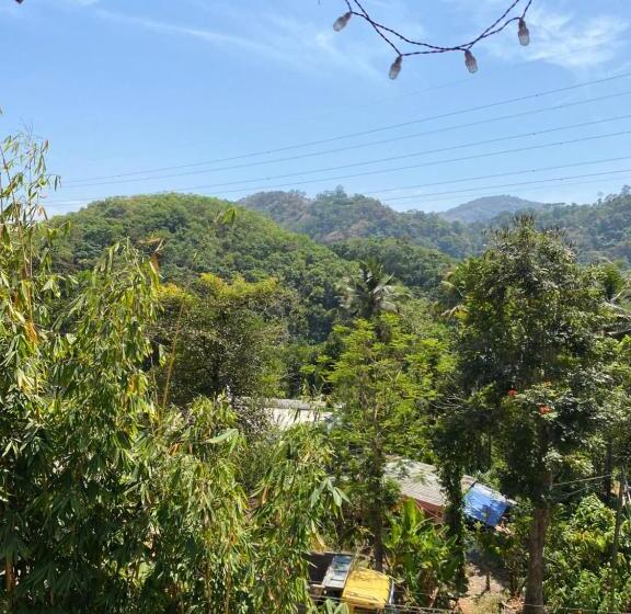 ホテル Mist Mountain Resort