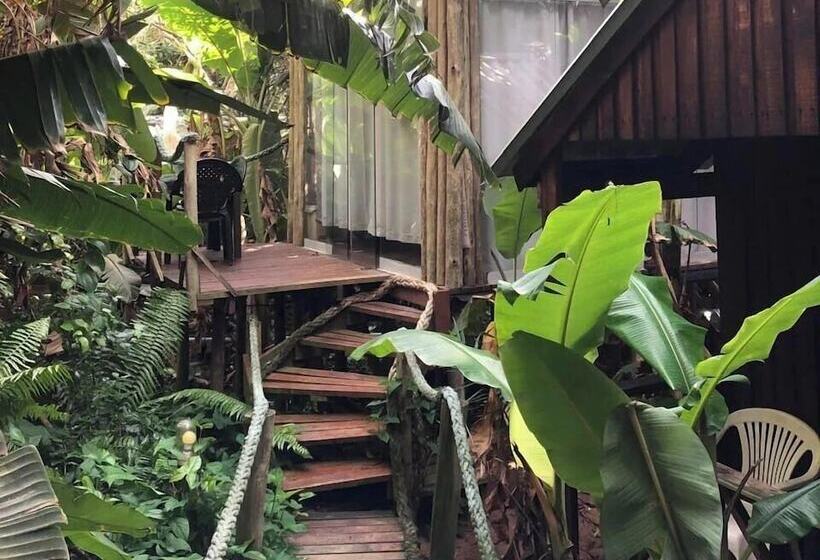 旅馆 Mantis And Moon Surf Paradise & Adventure Lodge