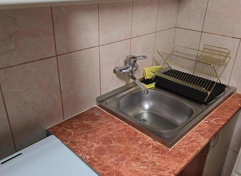 پانسیون La Dragoș Studio 01   Apartament