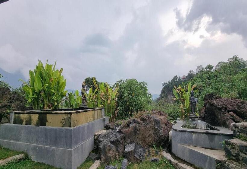 膳宿费 Onion Garden And Natural Hotspring