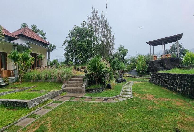 膳宿费 Onion Garden And Natural Hotspring
