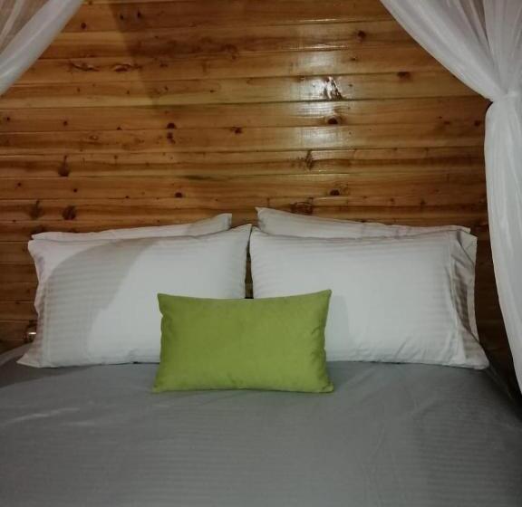 Ecogreen Hotel   San Cipriano