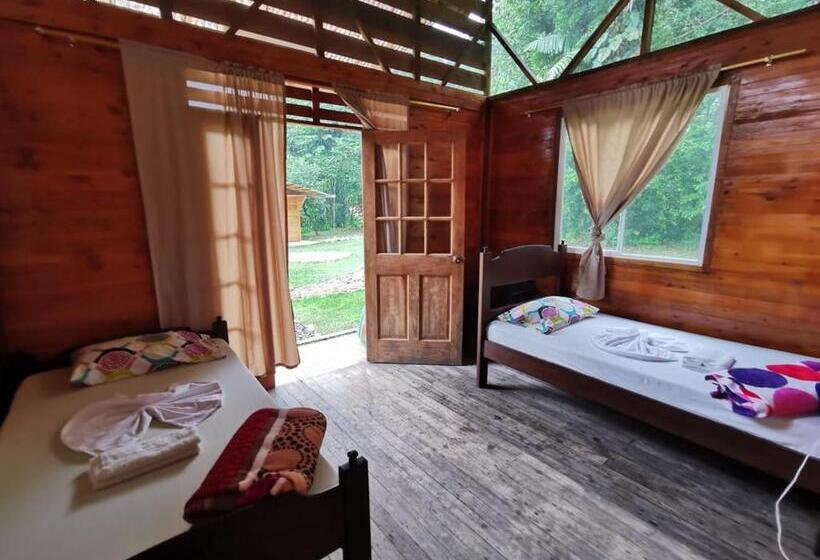 Ecogreen Hotel   San Cipriano