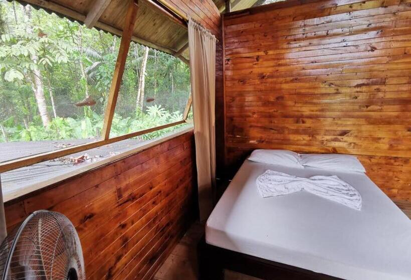 Ecogreen Hotel   San Cipriano