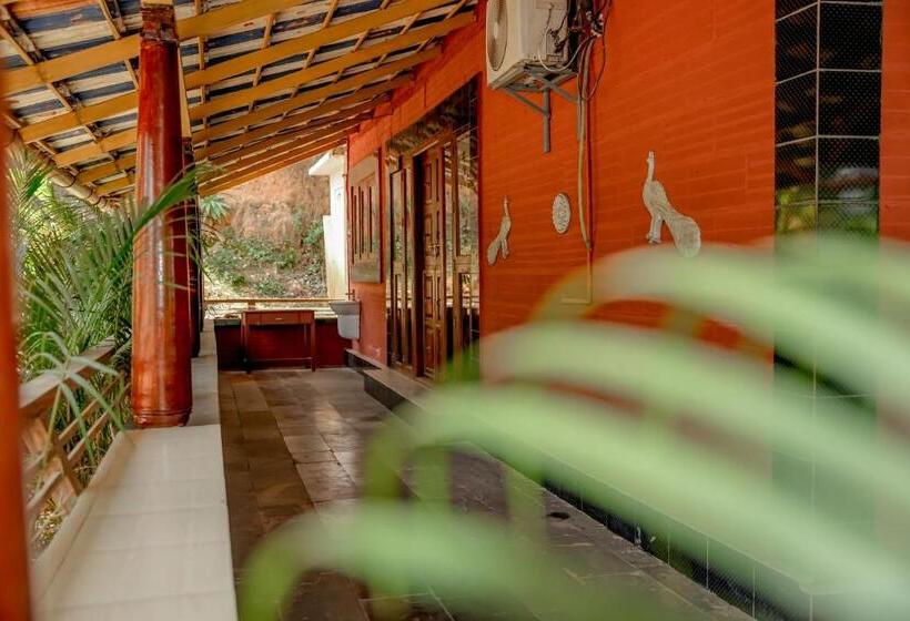بنسيون Misty Night Jungle Side Resort