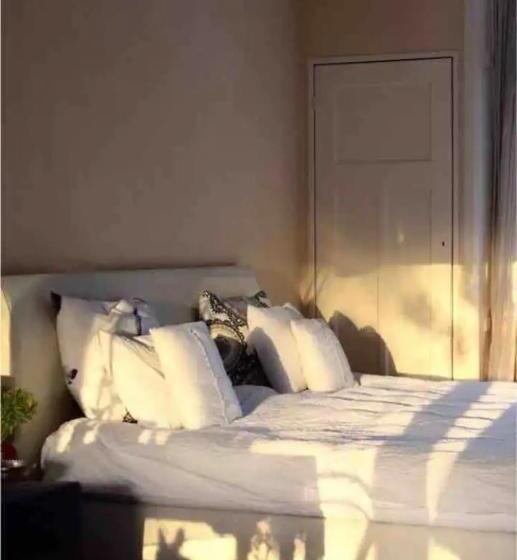 تختخواب و صبحانه Hemels Logeren Luxury Loft Zutphen