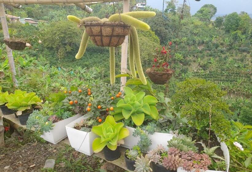 هتل Finca Turística Alto Bonito Filandia