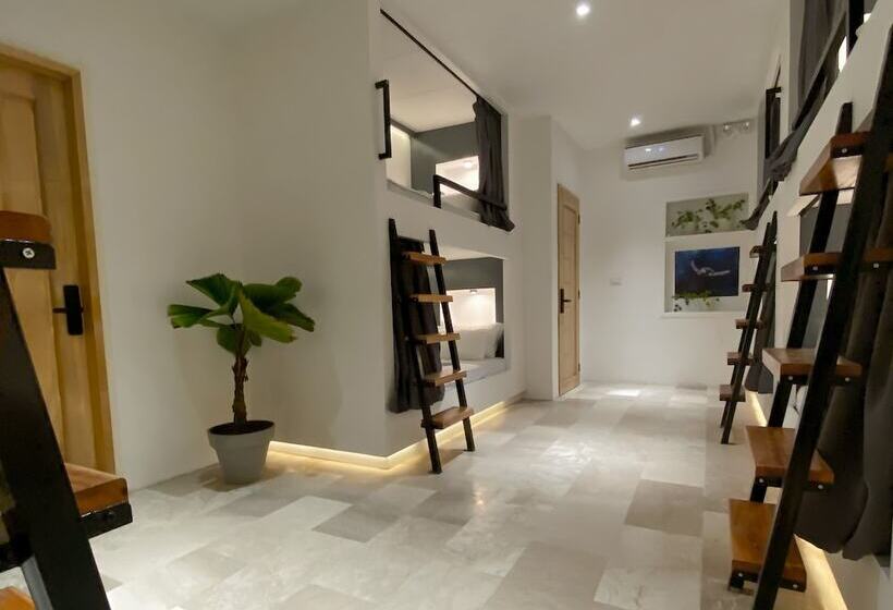 Wild Monkeys Hostel