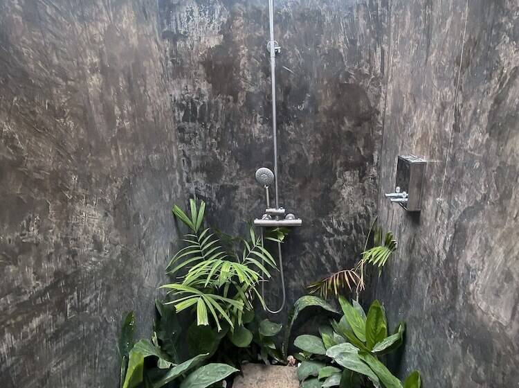 Wild Monkeys Hostel