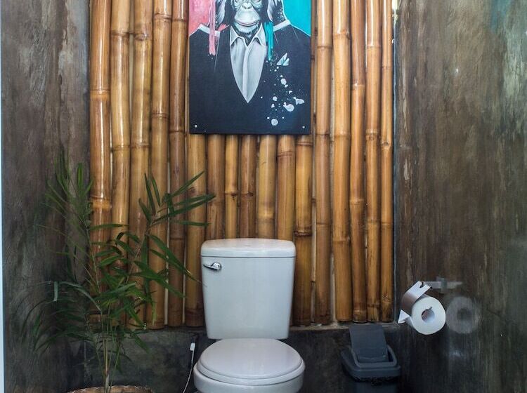 Wild Monkeys Hostel