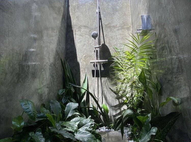 Wild Monkeys Hostel