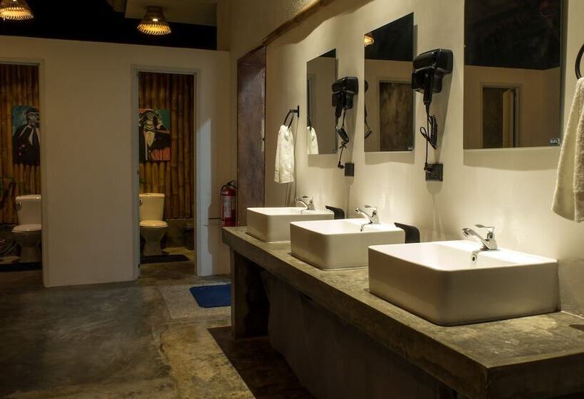 Wild Monkeys Hostel