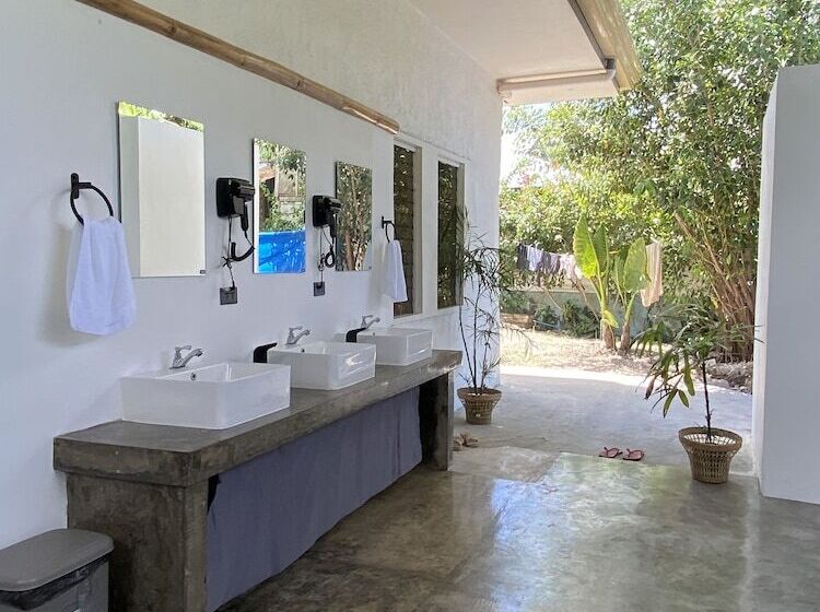 Wild Monkeys Hostel