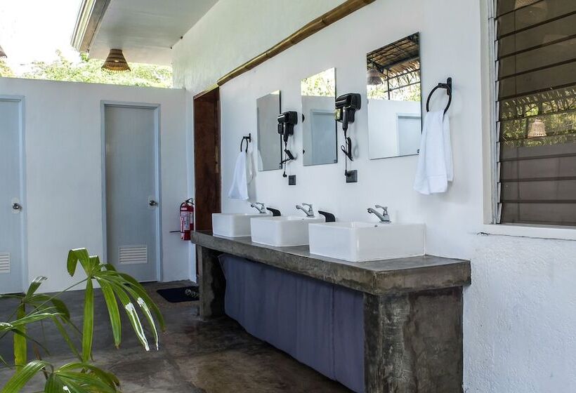 Wild Monkeys Hostel