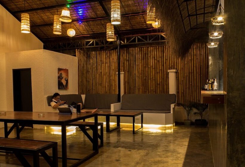 Wild Monkeys Hostel