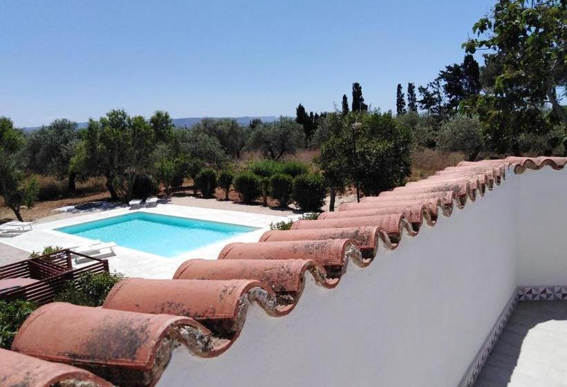 تختخواب و صبحانه Villa La Rucchetta Alghero