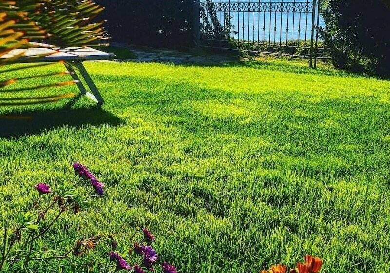 تختخواب و صبحانه Villa Grachira