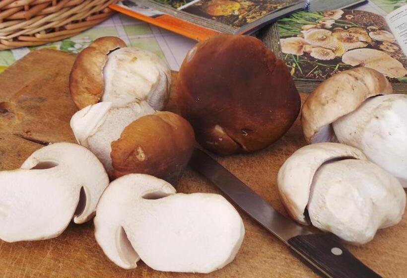 בית מלון כפרי Albergo Antico