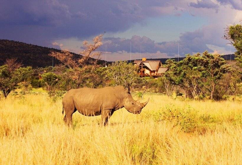 בית מלון כפרי Kololo Game Reserve