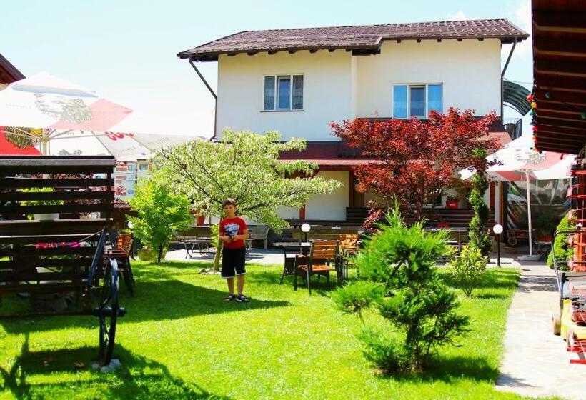 پانسیون Casa Guşă