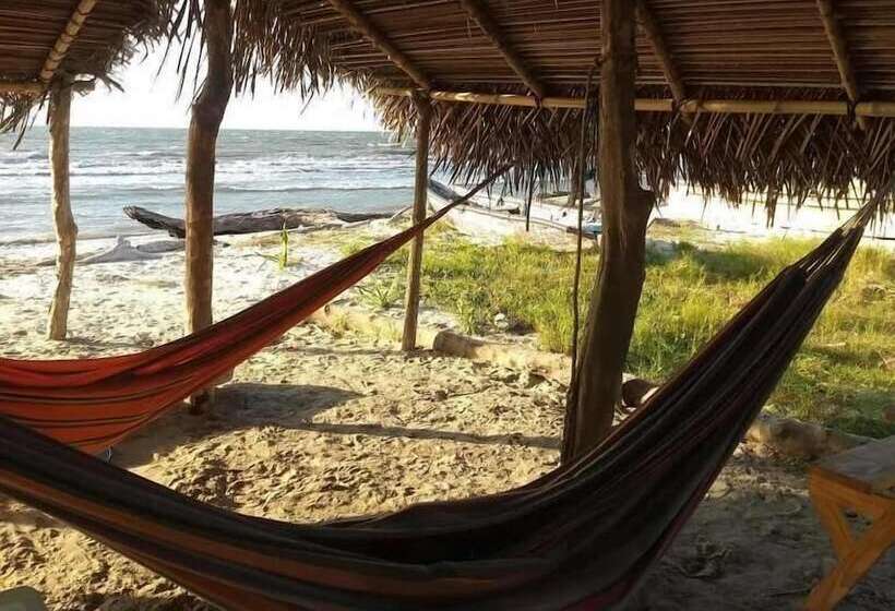 Urantia Beach Hostel & Camping