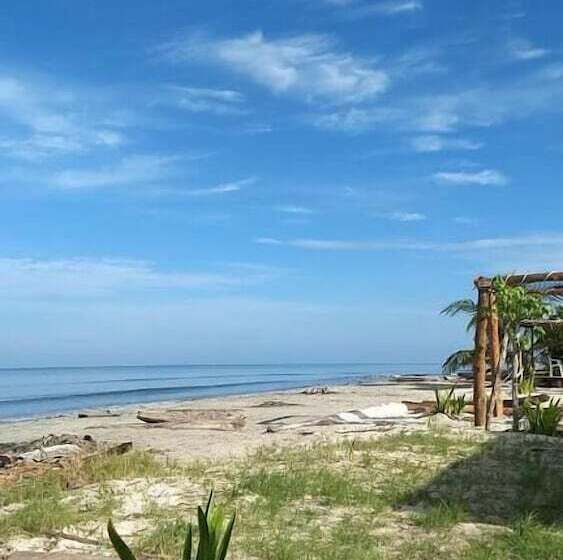Urantia Beach Hostel & Camping