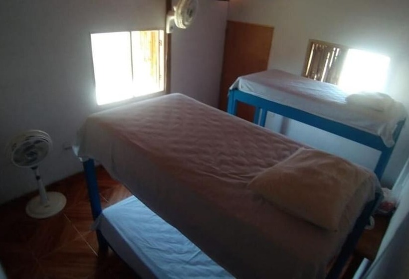 Urantia Beach Hostel & Camping