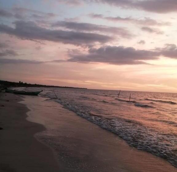 Urantia Beach Hostel & Camping