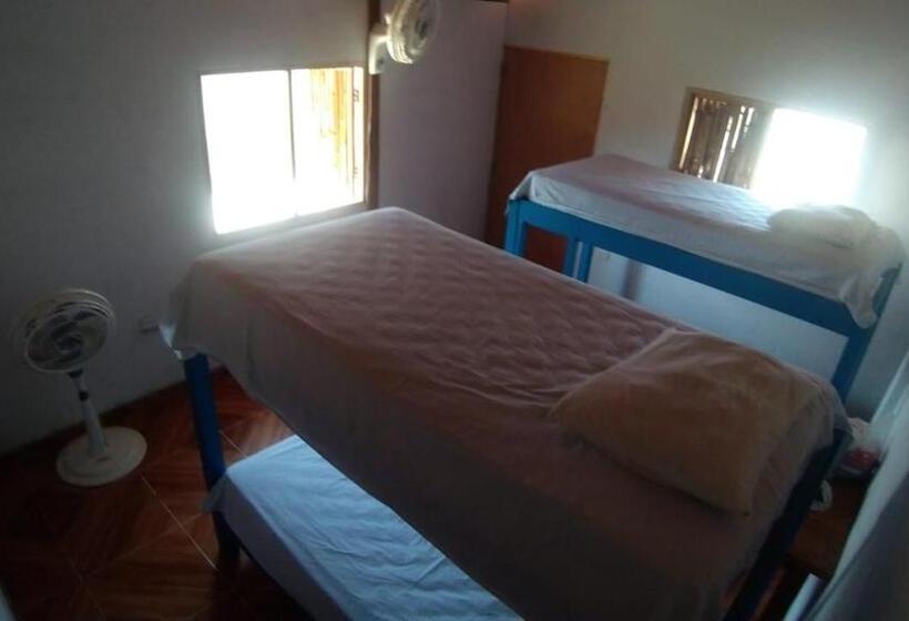 Urantia Beach Hostel & Camping