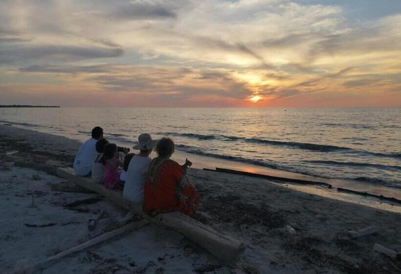 Urantia Beach Hostel & Camping