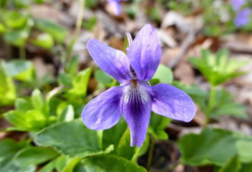 Отель Bauernhof Unteres Feld