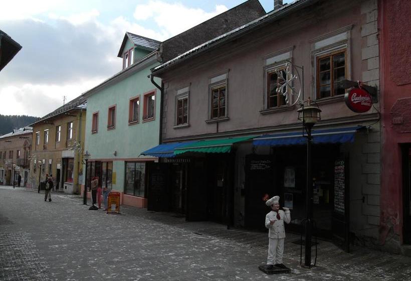 مبيت وإفطار Apartments And Suites Kremnica