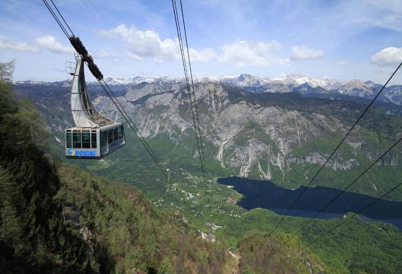 Chalet Hostel Murka