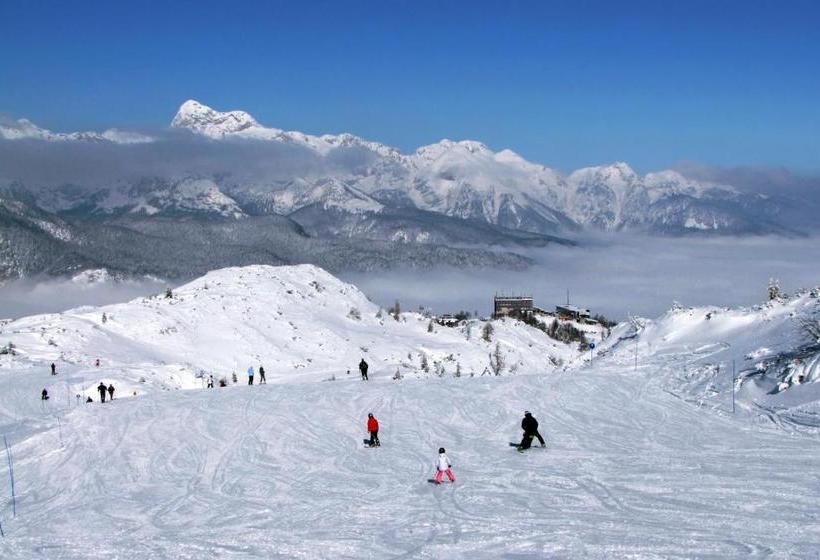 Chalet Hostel Murka