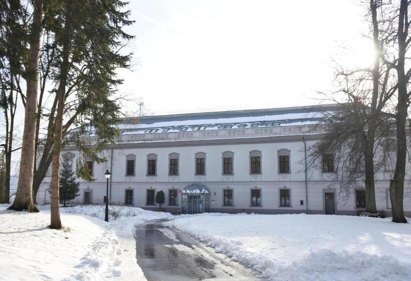 هتل Gino Park Palace