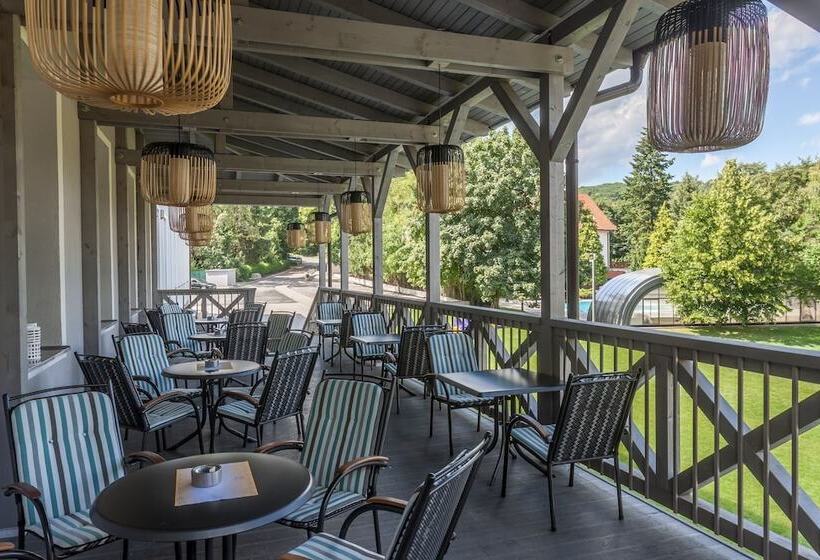 호텔 Pod Lipou Resort