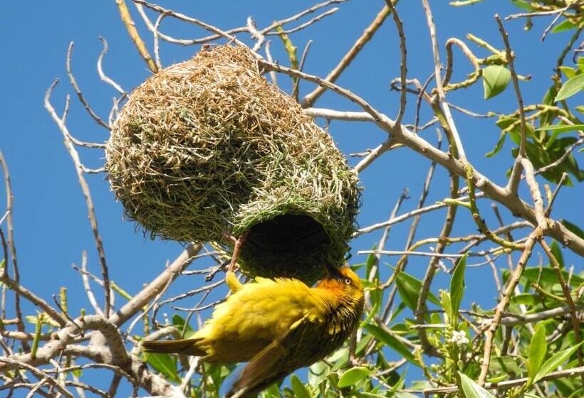 צימר Beachcombers
