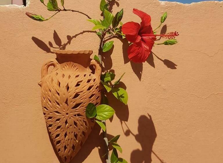 تختخواب و صبحانه Chambres D Hôtes Les Amis