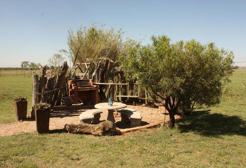 Ikhamanzi B&b
